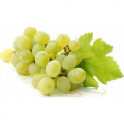 Uva Bianca Senza Semi 500 grammi