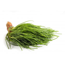 Agretti 1 Mazzo