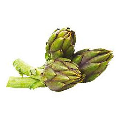Carciofi Spina 1 Pz.