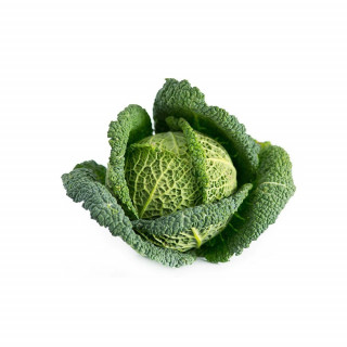 Cavolo Cappuccio 1 Pz.