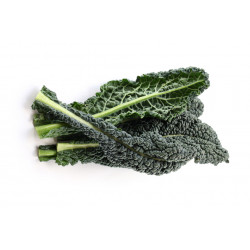 Cavolo Nero 500 Gr.