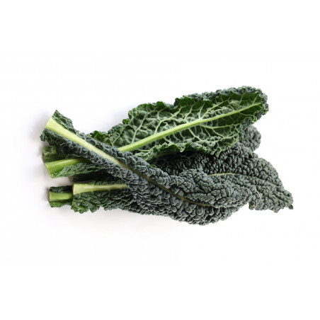 Cavolo Nero 500 Gr.