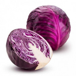 Cavolo Verza Rosso 1 Pz.
