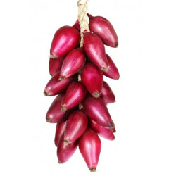 Cipolla di Tropea Secca 500 Gr.