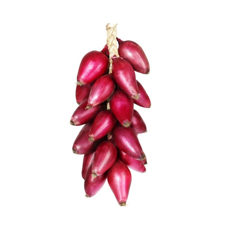 Cipolla di Tropea Secca 500 Gr. Cipolla di Tropea Secca 500 Gr.