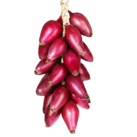 Cipolla di Tropea Secca 500 Gr.