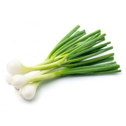 Cipollotto Bianco Fresco 500 Gr.
