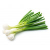 Cipollotto Bianco Fresco 500 Gr.