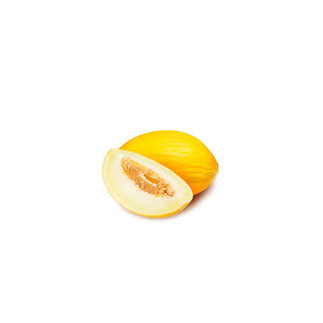 Melone Giallo 1 Frutto
