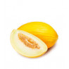 Melone Giallo 1 Frutto