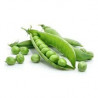 Piselli Freschi 500 Gr.
