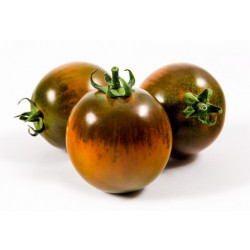 Pomodoro Camone 500 Gr.