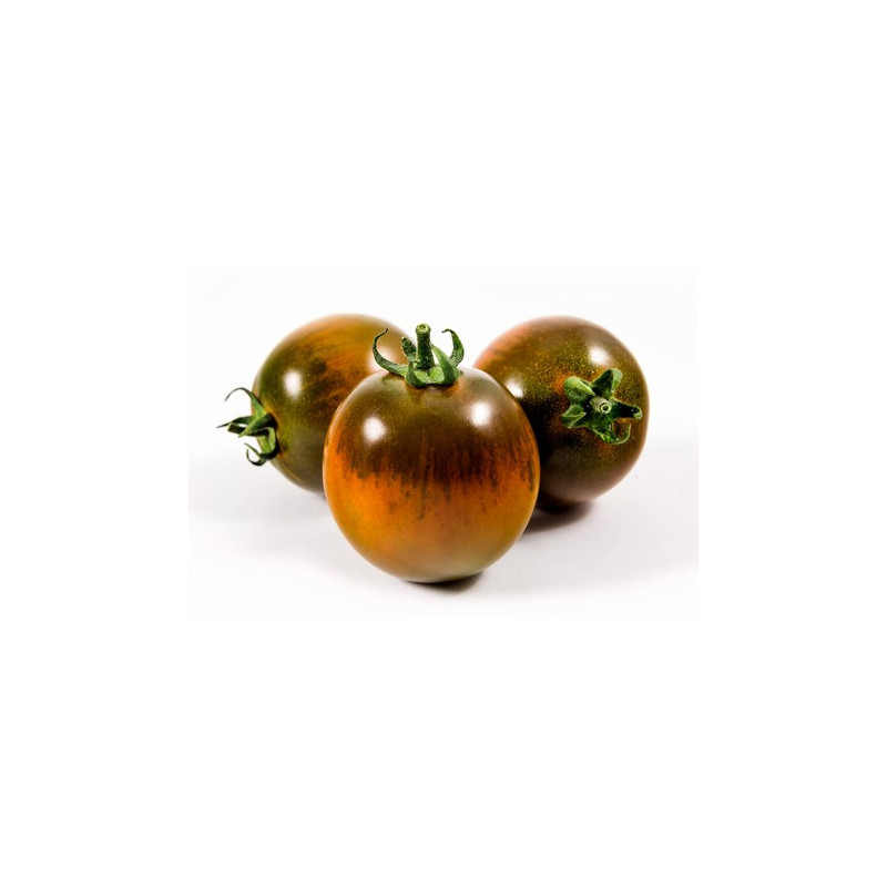 Pomodoro Camone 500 Gr. Pomodoro Camone 500 Gr.