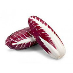 Radicchio Lungo di Treviso 500 Gr.
