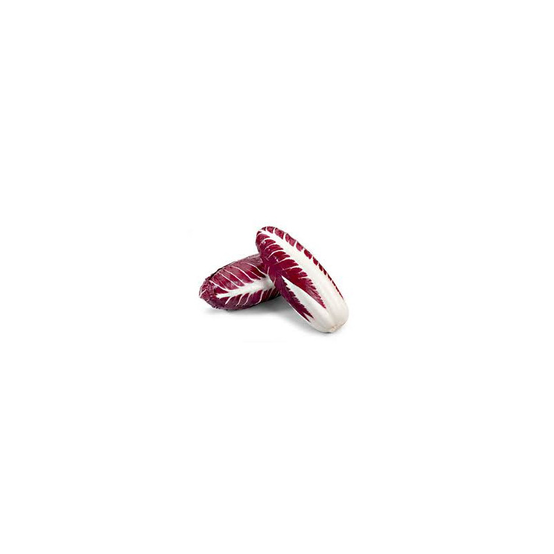 Radicchio Lungo di Treviso 500 Gr. Radicchio Lungo di Treviso 500 Gr.