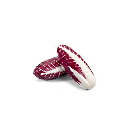 Radicchio Lungo di Treviso 500 Gr.