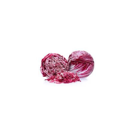 Radicchio Tondo di Chioggia 500 Gr.