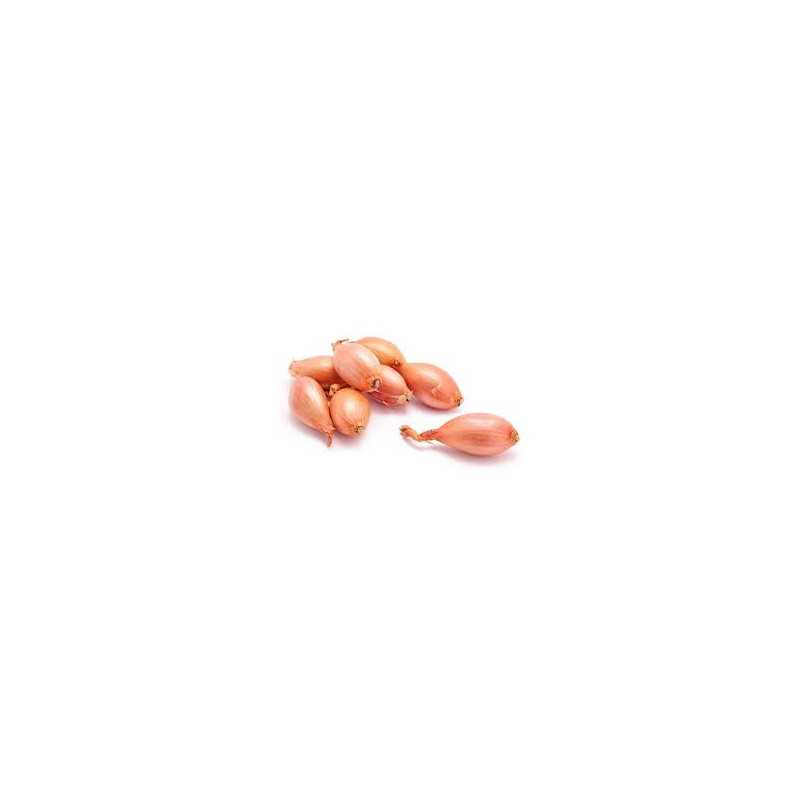 Scalogno 250 Gr. Scalogno 250 Gr.
