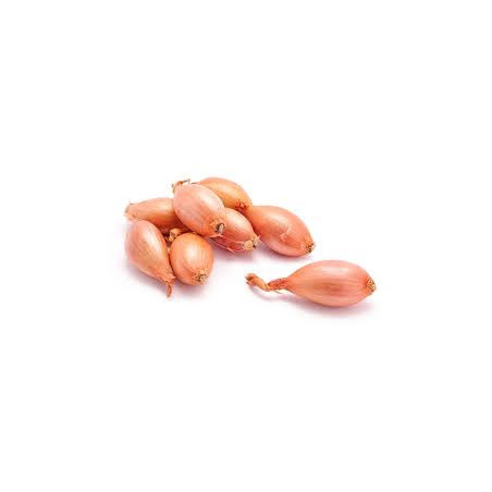 Scalogno 250 Gr.