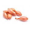 Scalogno 250 Gr.