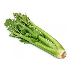 Sedano Verde 1 Pezzo
