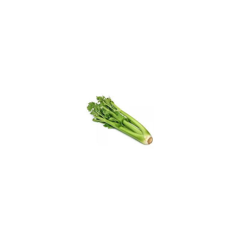 Sedano Verde 1 Pezzo Sedano Verde 1 Pezzo
