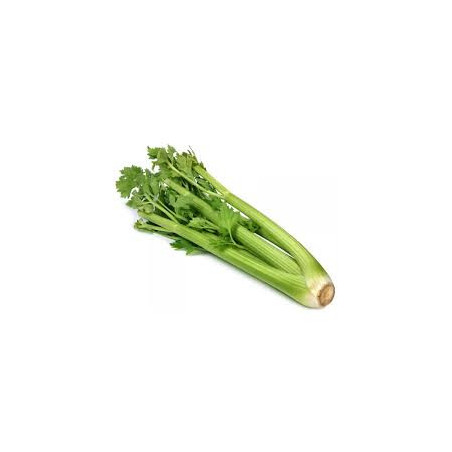 Sedano Verde 1 Pezzo