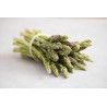 Asparagi del Roero 1 Mazzo