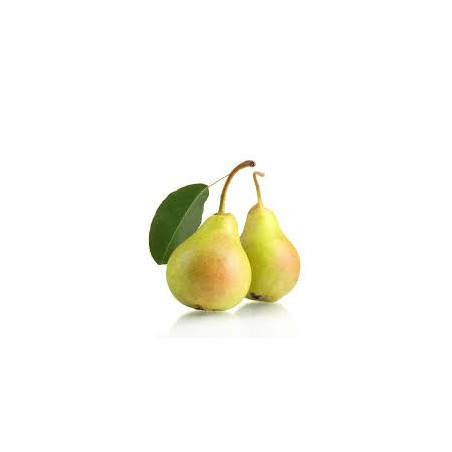 Pere Coscia 500 Gr.