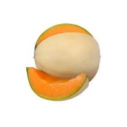 Melone Liscio 1 Frutto