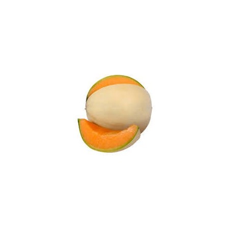 Melone Liscio 1 Frutto