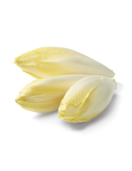 Indivia Belga 250 Gr.