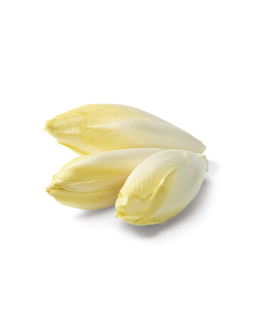 Indivia Belga 250 Gr.