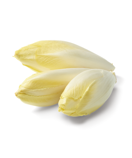 Indivia Belga 250 Gr.