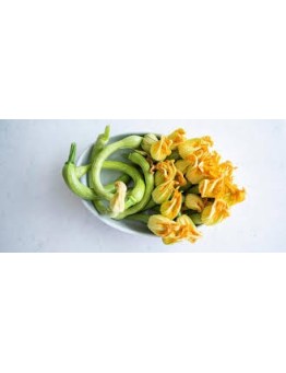 Zucchine Trombetta 500 Gr.