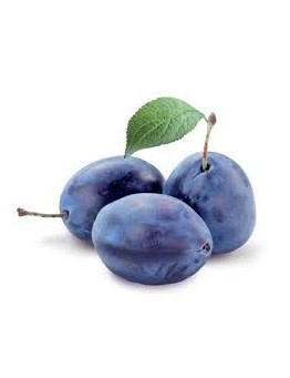 Ramasin 500 Gr.