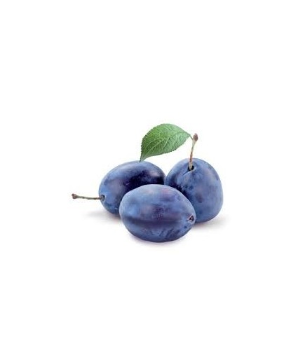 Ramasin 500 Gr.