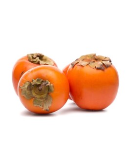 Caco Loto Vaschetta 500 Gr.
