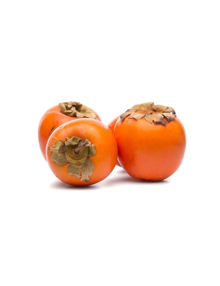 Caco Loto Vaschetta 500 Gr.