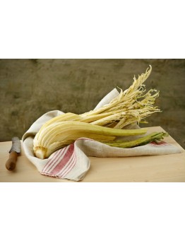 Cardo Gobbo 1 Kg