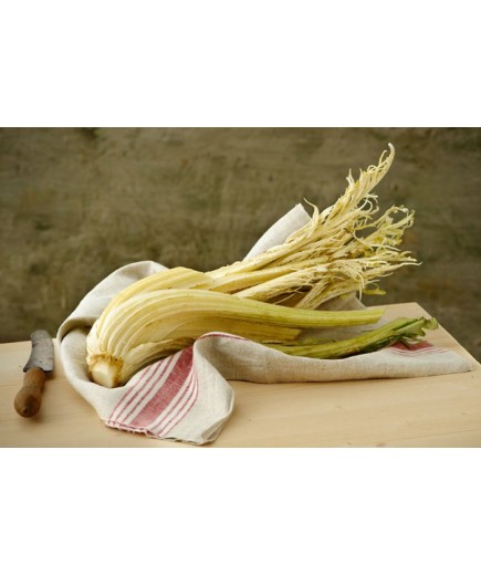 Cardo Gobbo 1 Kg Cardo Gobbo 1 Kg