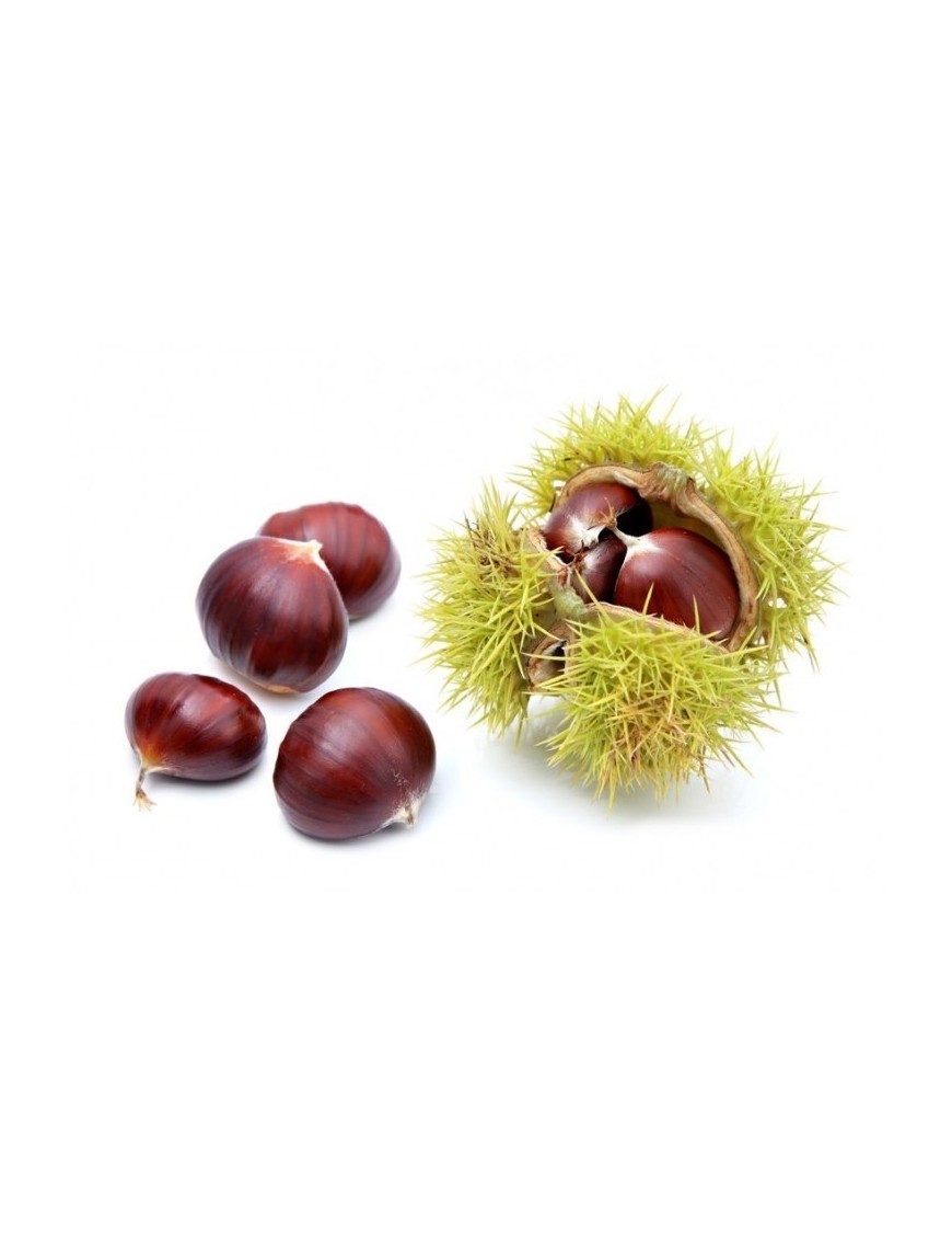 Castagne 1 Kg