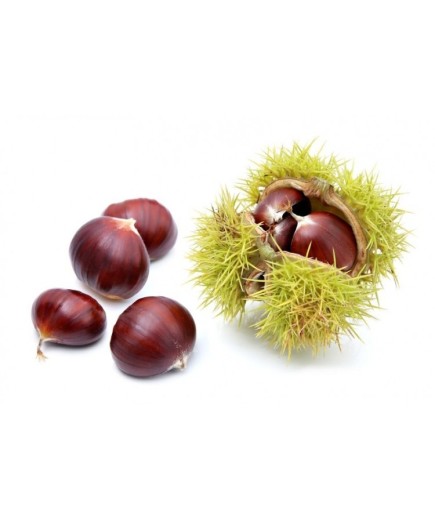 Castagne 1 Kg