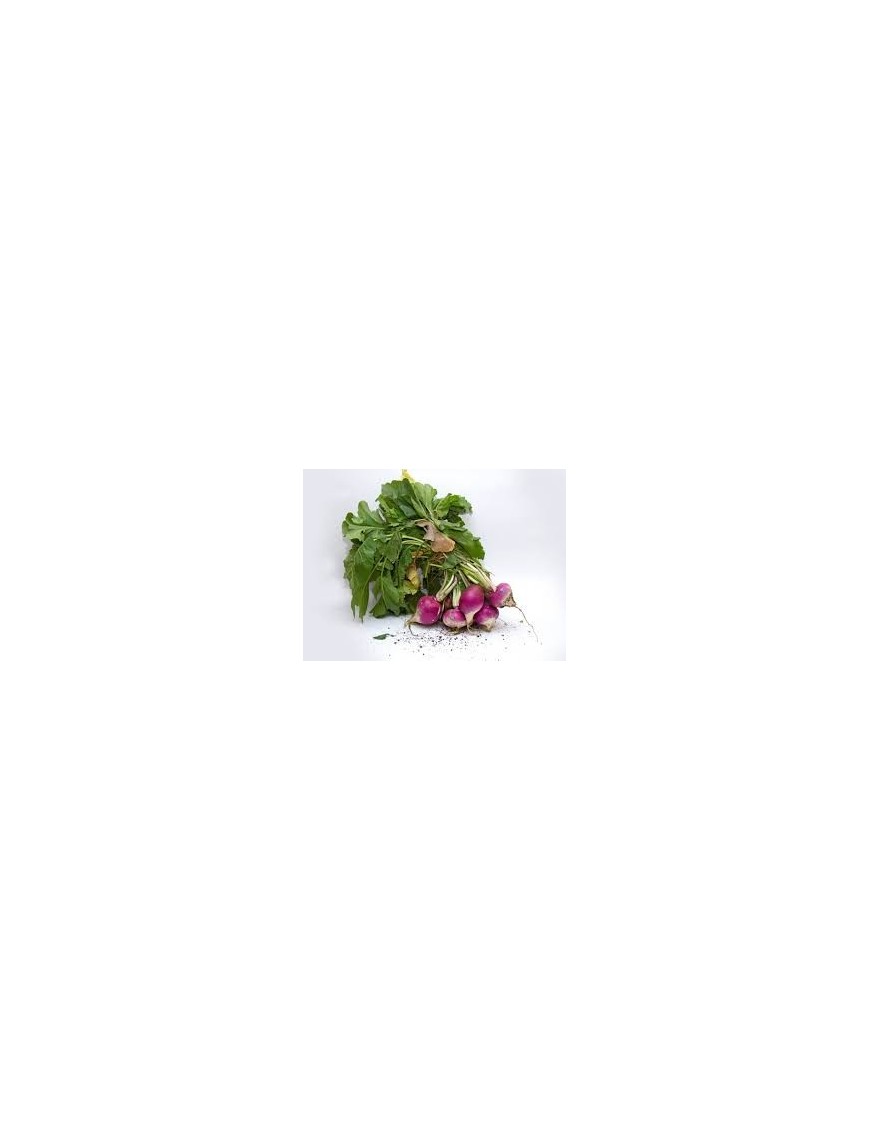 Rapa Classica 1 Kg