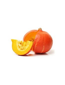 Zucca Hokkaido 1 Pz.