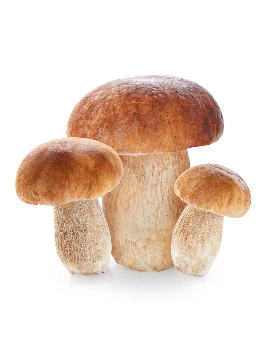 Funghi Porcini 500 Gr.