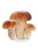Funghi Porcini 500 Gr.
