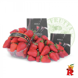Fragola Candonga Basilicata (1 Cestino Grande)