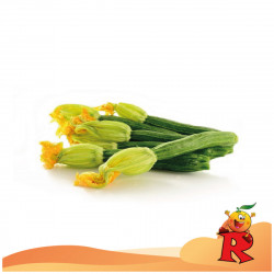 Zucchine Chiare 500 Gr.