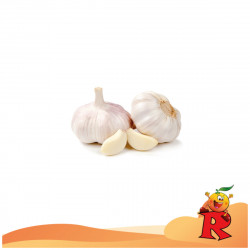 Aglio Italia 1 Testa